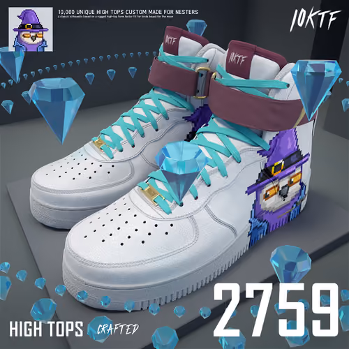 Moonbird High Tops #2759