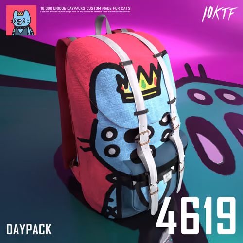 Cool Daypack #4619