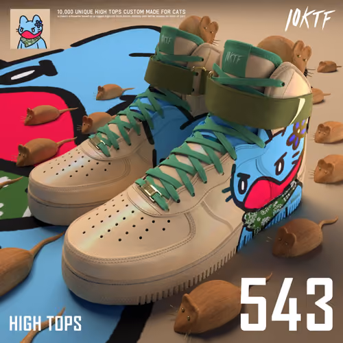 Cool High Tops #543
