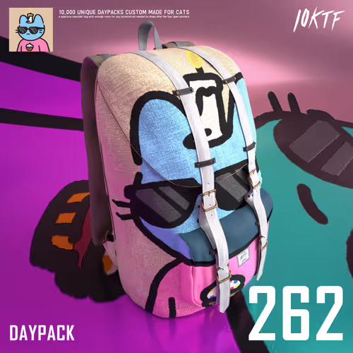 Cool Daypack #262