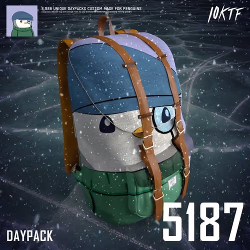 Pudgy Daypack #5187