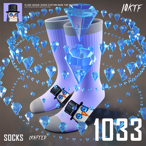 Moonbird Crew Socks #1033