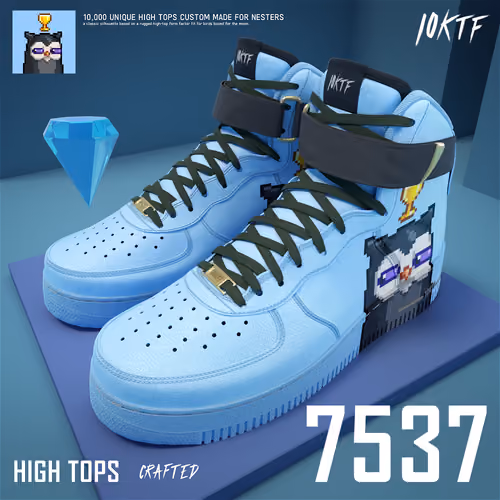 Moonbird High Tops #7537