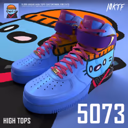 Cool High Tops #5073