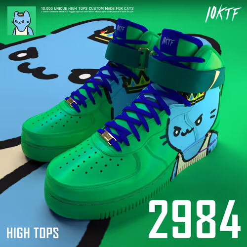 Cool High Tops #2984