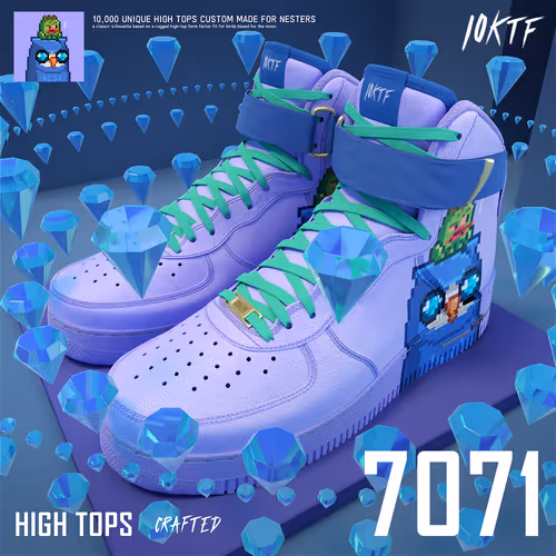 Moonbird High Tops #7071