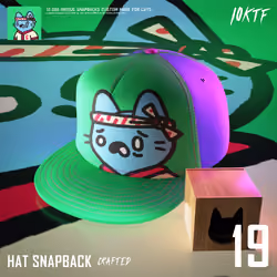 Cool Snapback #19