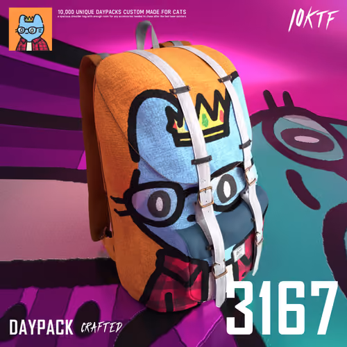Cool Daypack #3167