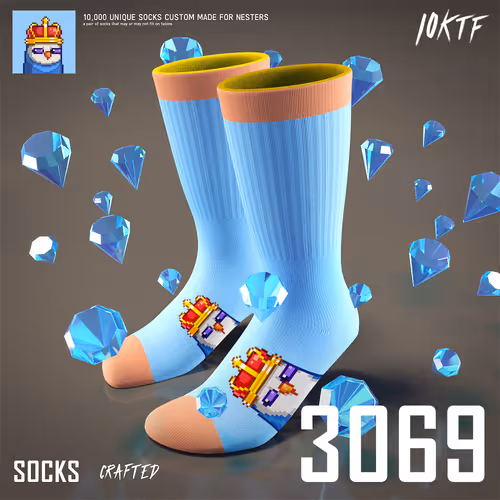 Moonbird Crew Socks #3069