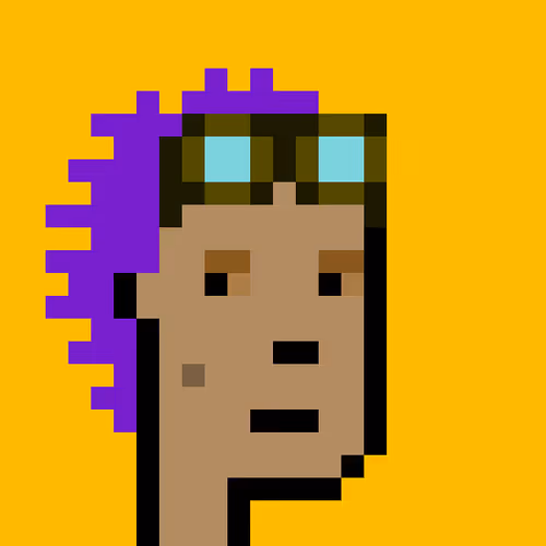 ExpansionPunk #13108