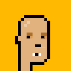 ExpansionPunk #16263