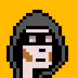 ExpansionPunk #13267