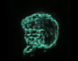 587204608