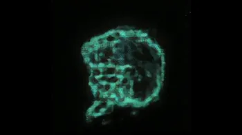 Item #587204608 Media