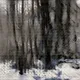 Winter Woods (Learning Nature b59e,3900,2)