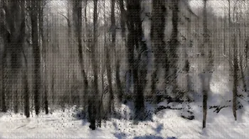 Item #2382366464 Media