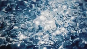 Item #33555200 Media