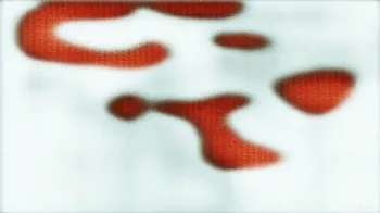 Item #3338667776 Media