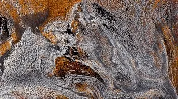 Item #855639296 Media