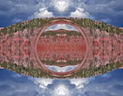 3456107264