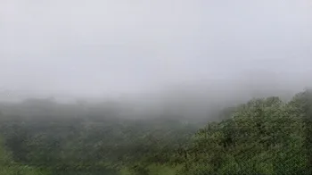 Item #1828718080 Media