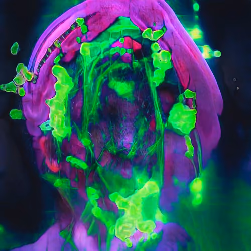GAN-Face #0408
