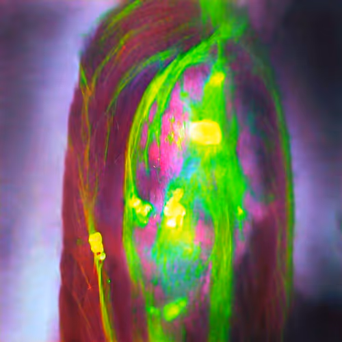 GAN-Face #0325