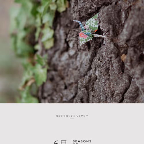 6月 – June