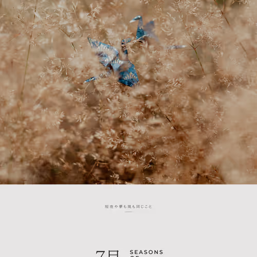 7月 – July