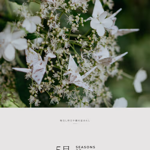 5月 – May