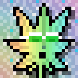 241