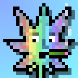 84