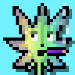 82