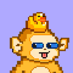 PixelApe#1559
