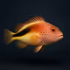 Freckled Hawkfish #227