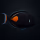 Achilles Tang #2181