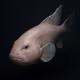 Blob Sculpin #74