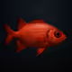 Shadowfin Soldierfish #2205