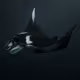 Oceanic Manta Ray #2178