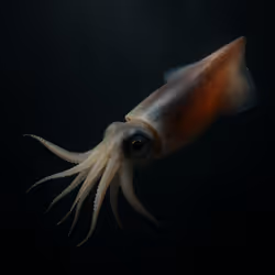774