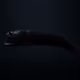 Black-Belly Dragonfish #175