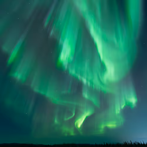 The 2023 Editions - Eric Bleicher