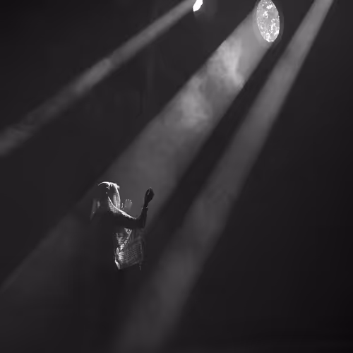 256 Shades of Gray V2