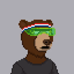Pixel OKAY BEARS #2541