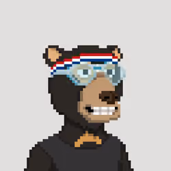 Pixel OKAY BEARS #1086