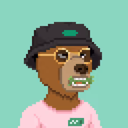 Pixel OKAY BEARS #2291
