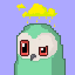 STARBIRD #3062