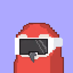 STARBIRD #2365