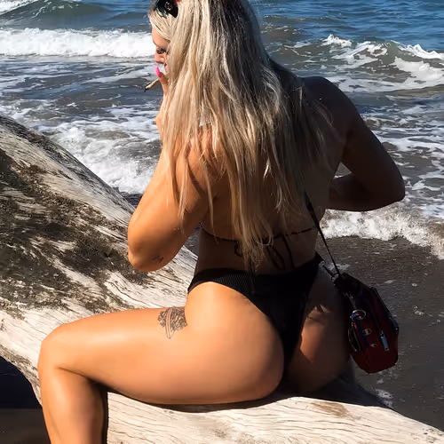 Holly DAO #310