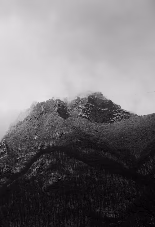 Item #18777940910832526226303977857919740677388512557610933360440146417966569750582 Media